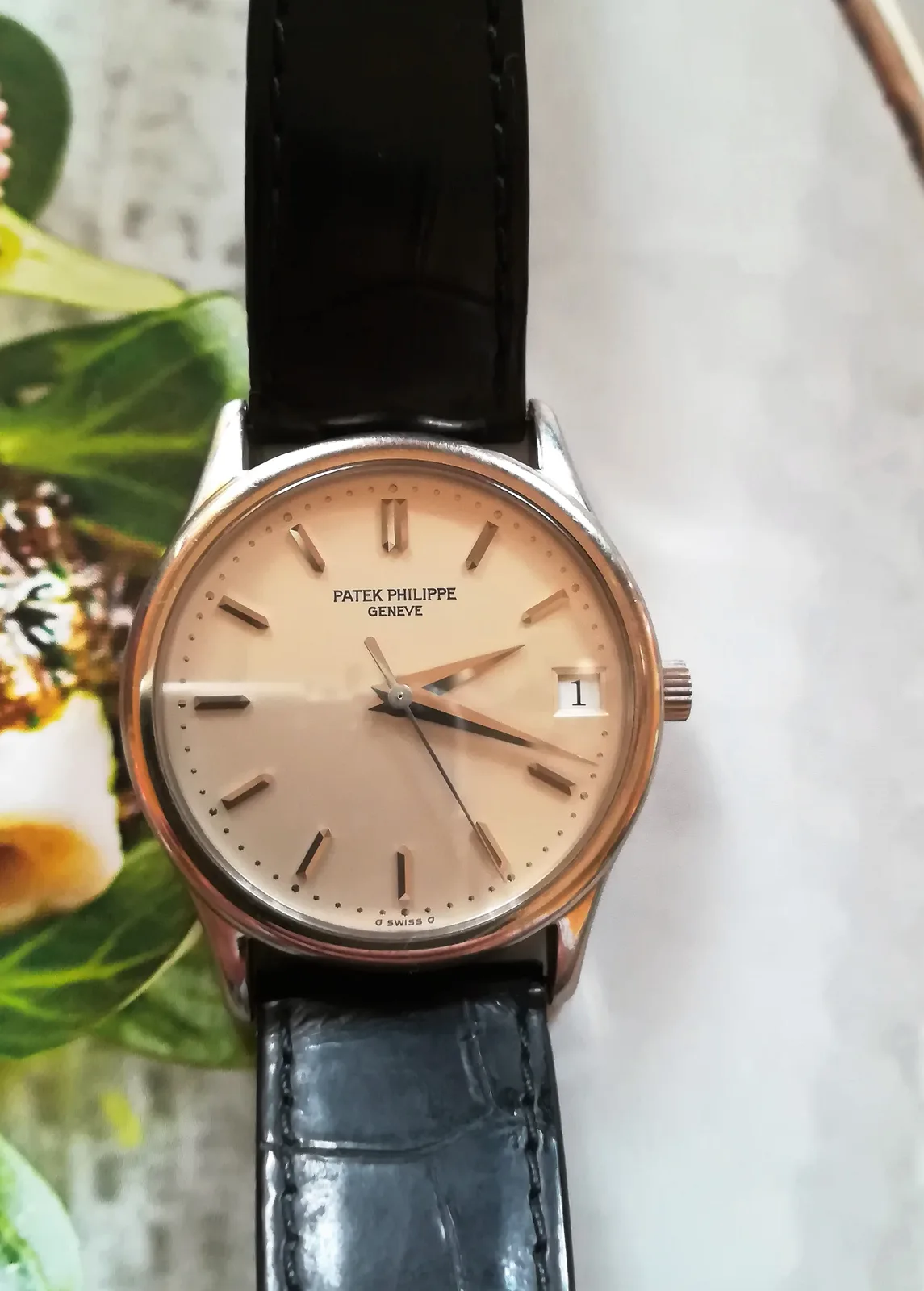Patek Philippe Calatrava dress watch with a round case, applied markers, and a fine minute track, shown off the wrist on a white ground