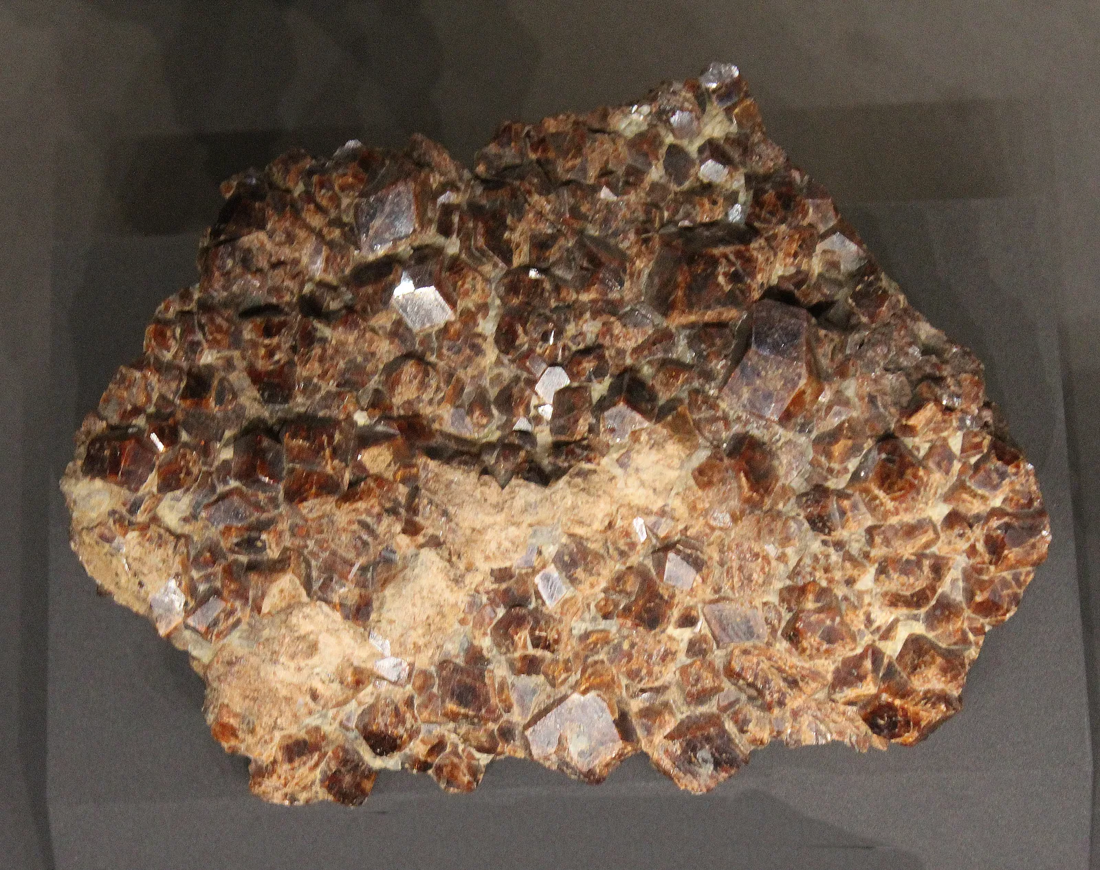 A museum group of cinnamon hessonite crystals on a pale matrix, labeled in a vitrine at Terra mineralia