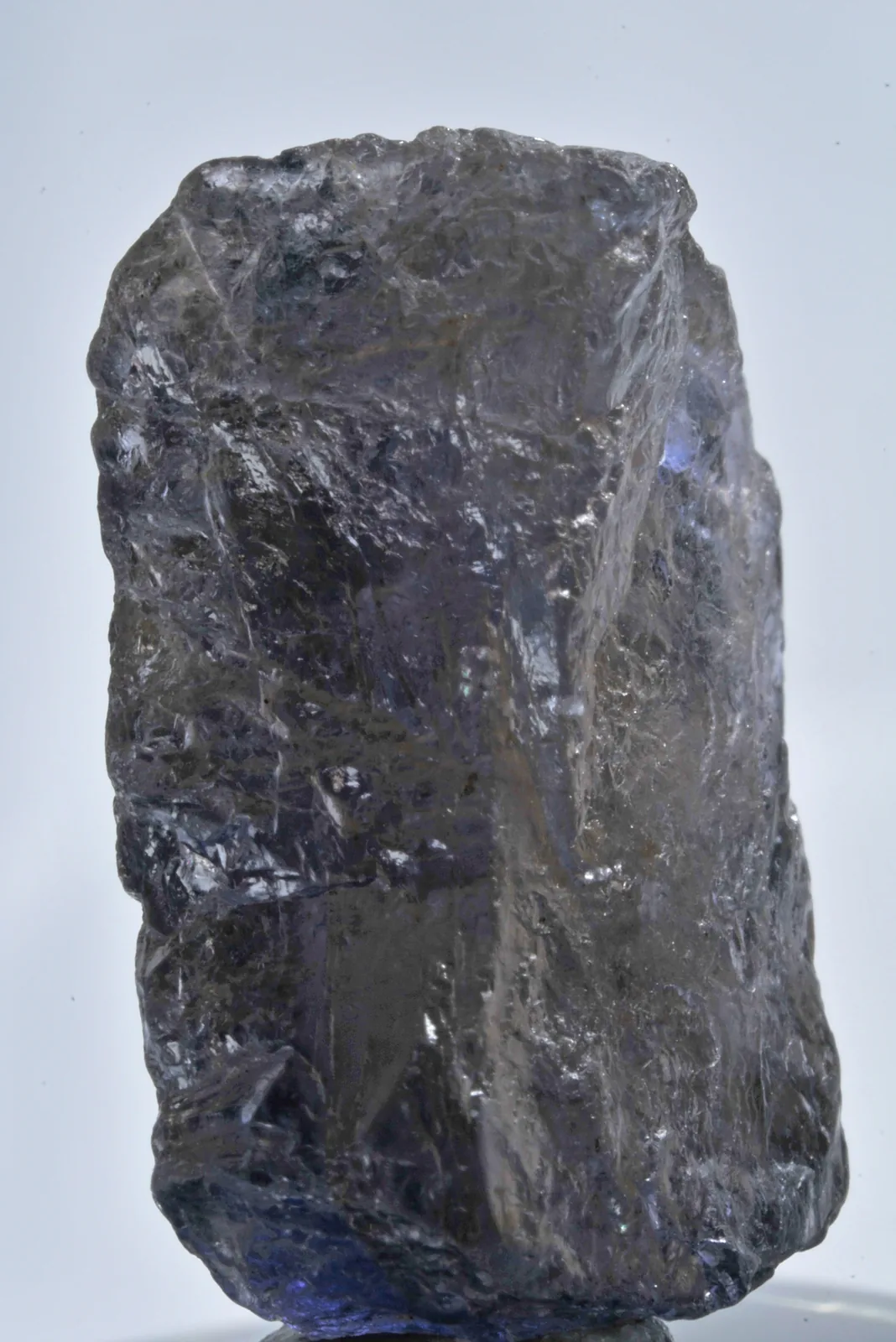 Violet-blue iolite crystal on a white ground, the cool color already in the rough faces