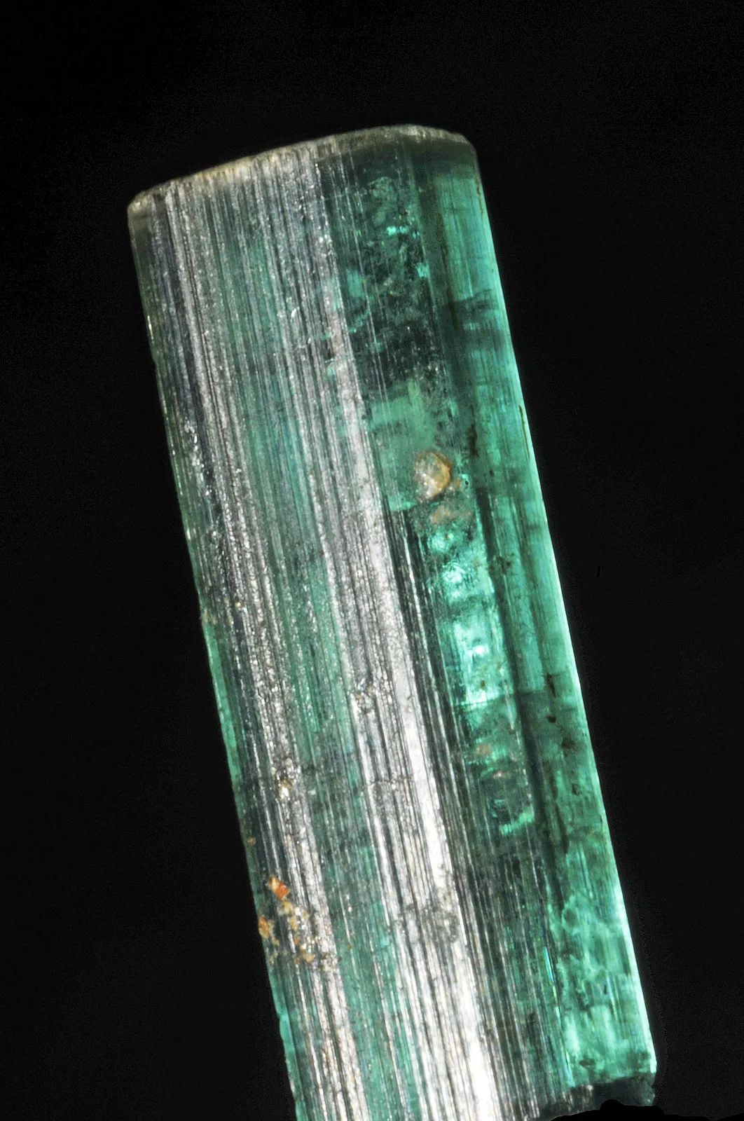 Cluster of neon blue-green Paraíba tourmaline crystals from the Batalha mine, on a dark ground