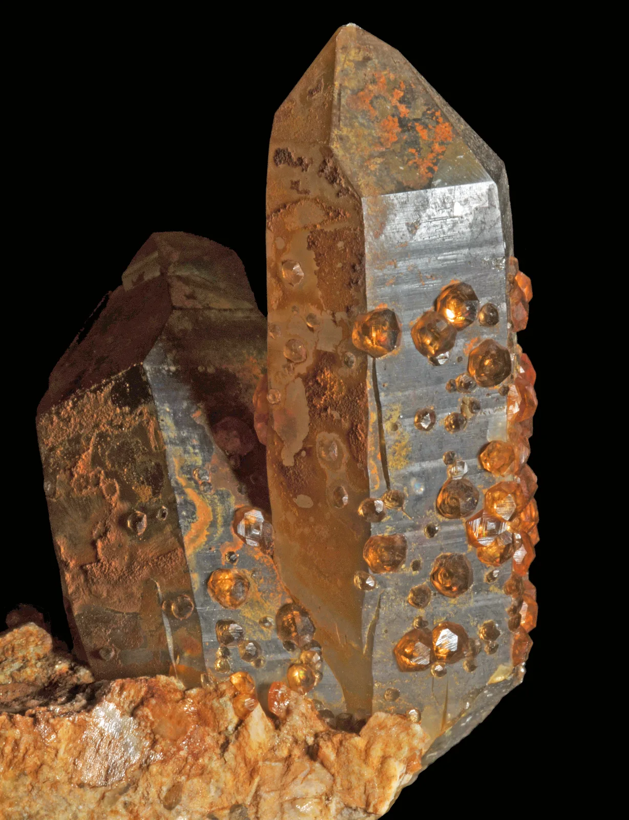 Bright orange spessartine crystals clustered on a smoky quartz, the garnets already faceted by their own faces