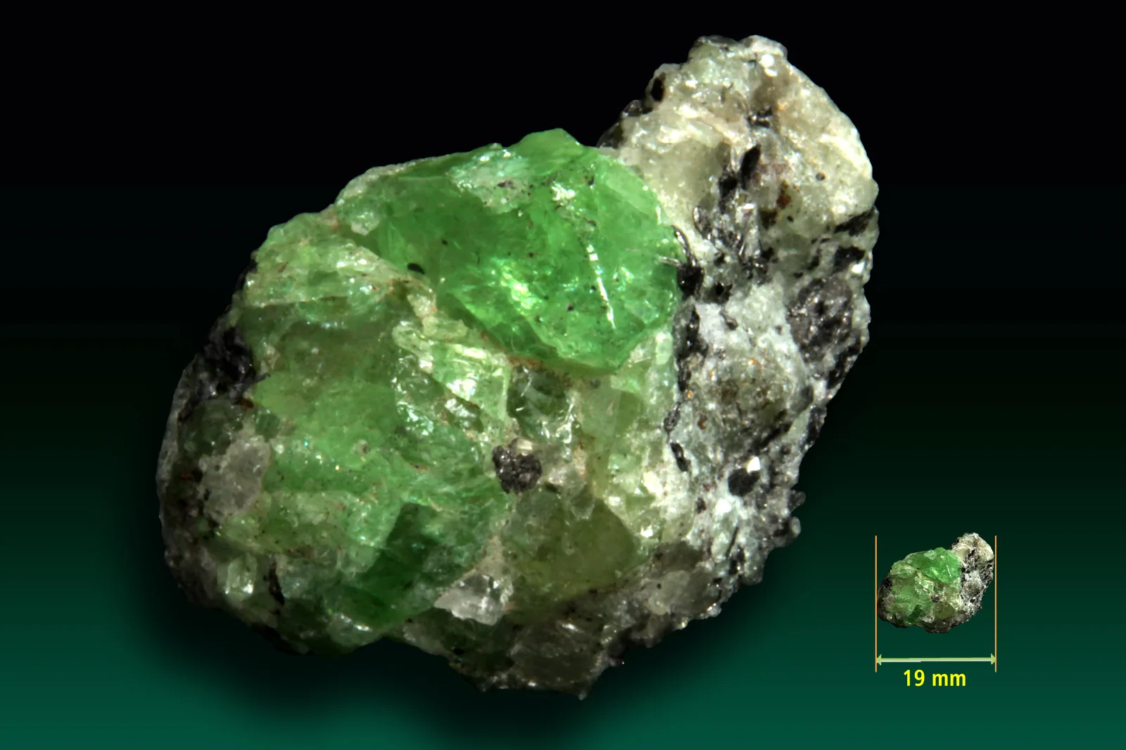 A transparent cluster of chrome-green tsavorite crystals from the Merelani Hills, Arusha Region, Tanzania