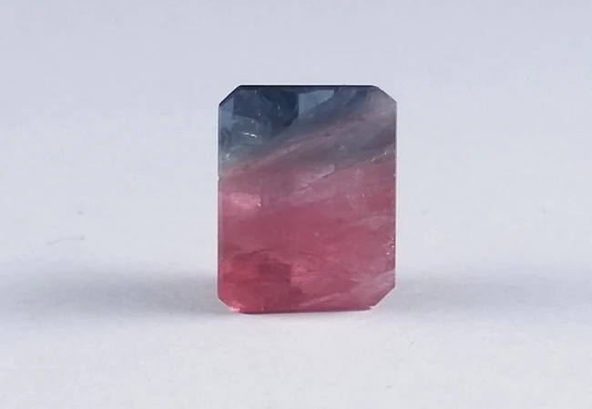 A round bi-color tourmaline, pink through the center and green at the rim, on a white ground
