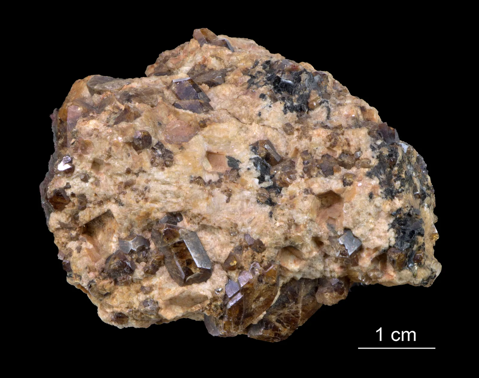 A pale blue-gray zircon crystal, glassy and elongated, on a white museum ground